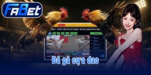 Đá gà cựa dao